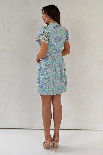 Amy Luxe Lace Dress