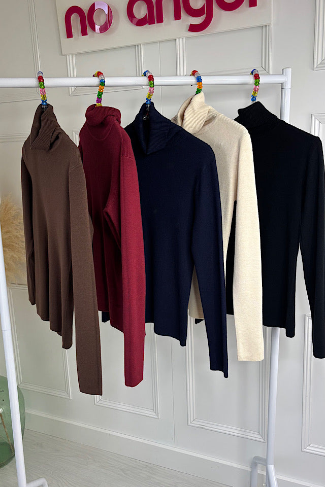 Beth Soft Knit Roll Neck ( 5 Colours)