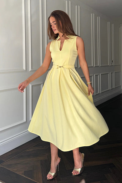 Ameya Lemon Buckle Dress